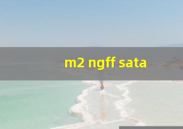 m2 ngff sata